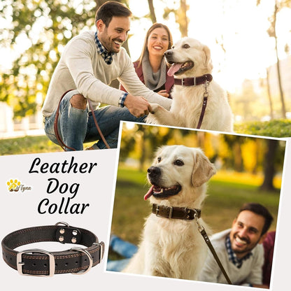 ADITYNA Heavy-Duty Leather Dog Collar for Medium Dogs - Soft and Strong, 100% Genuine Leather - Collier Pour Chien (Medium: Fit 13" - 20" Neck, Brown) - PuriLite