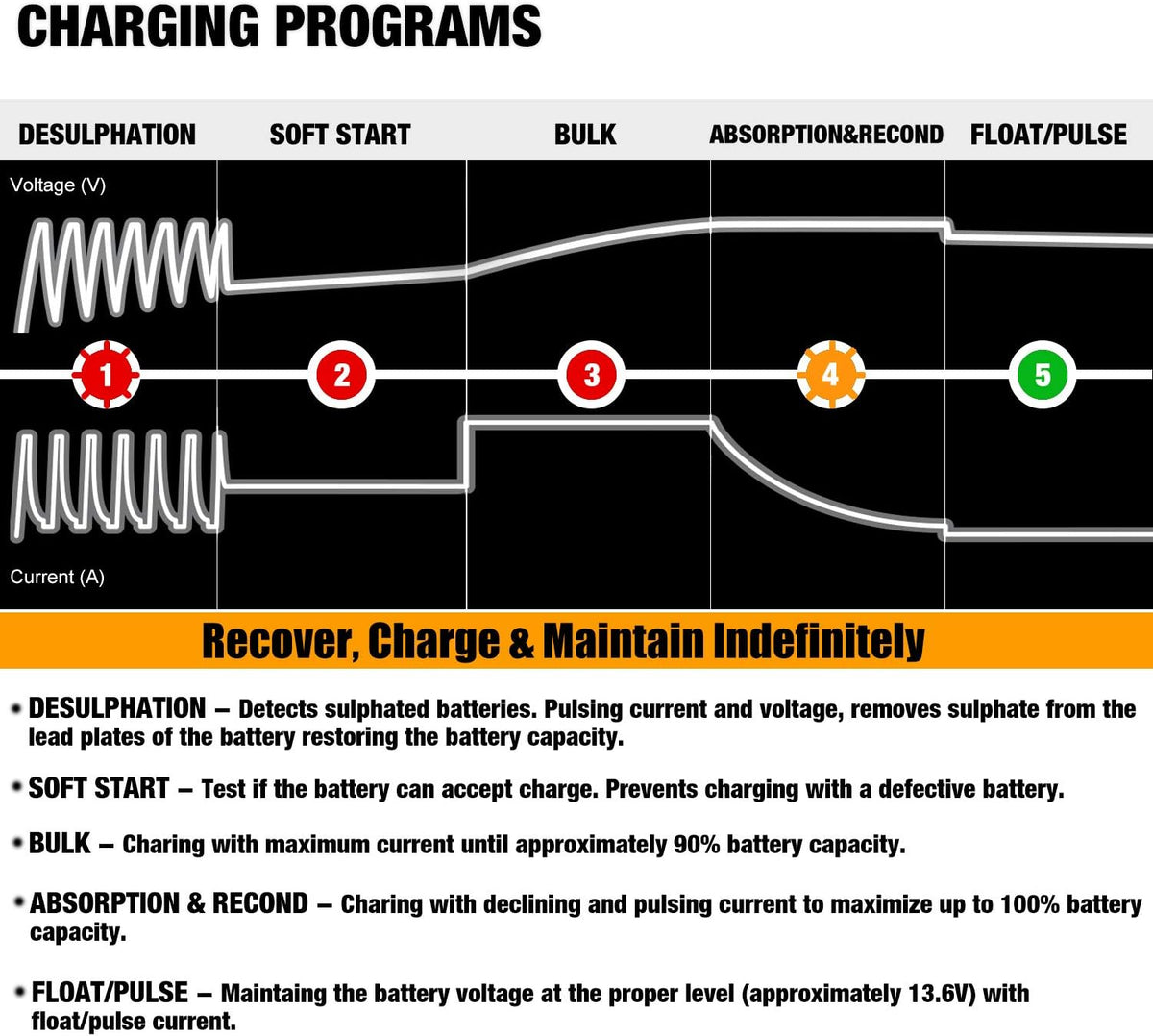 MOTOPOWER MP00205A 12V 800mA Fully Automatic Battery Charger/Maintainer - PuriLite