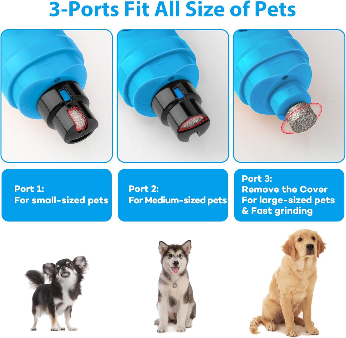 Casfuy Dog Nail Grinder with 2 LED Light - New Version 2-Speed Powerful Electric Pet Nail Trimmer Professional Quiet Painless Paws Grooming & Smoothing for Small Medium Large Dogs and Cats (Blue) - PuriLite