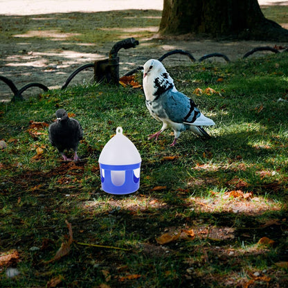 2 Pack Bird Water Dispenser Container for Six Birds, 2l Plastic