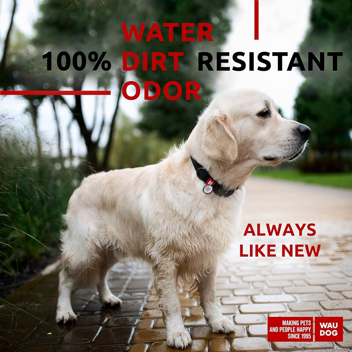 Waterproof Dog Collar - Adjustable Glow Dog Collar for Large Dogs, Small and Medium Dogs - Heavy Duty Dog Collars with Durable Metal Clasp and QR Dog Tag - Glow in The Dark Dog Collars - PuriLite