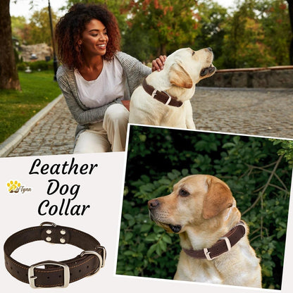 ADITYNA Heavy-Duty Leather Dog Collar for Medium Dogs - Soft and Strong, 100% Genuine Leather - Collier Pour Chien (Medium: Fit 13" - 20" Neck, Brown) - PuriLite