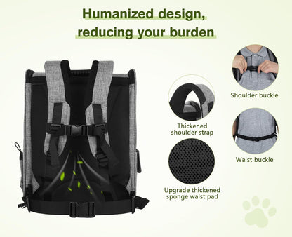 Pecute Cat Backpack with Breathable Mesh, Dog Backpack Carrier with Multi-Pockets for Cats Puppies, Pet Backpack Carrier for Travel Hiking Camping Outdoor （Gray） - PuriLite