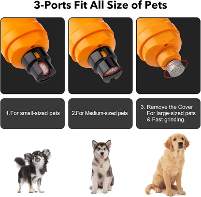 Casfuy Dog Nail Grinder with 2 LED Light - New Version 2-Speed Powerful Electric Pet Nail Trimmer Professional Quiet Painless Paws Grooming & Smoothing for Small Medium Large Dogs and Cats (Blue) - PuriLite
