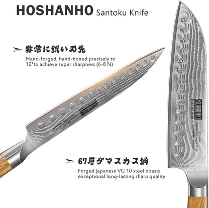 HOSHANHO Damascus Fillet Knife 7 Inch, Professional VG-10 Super Steel Boning Knife, Ultra Sharp Fish Knife with Ergonomic Handle - PuriLite