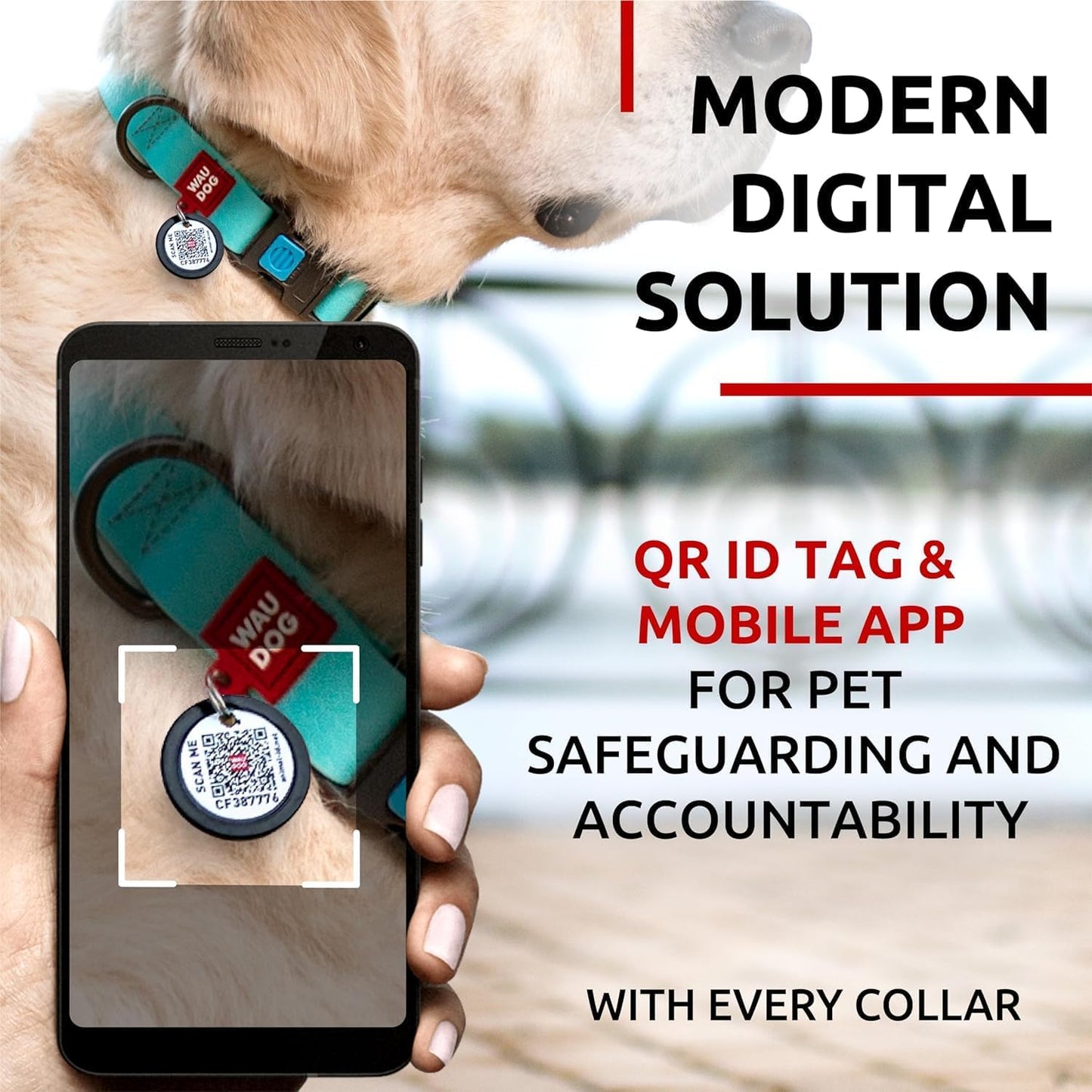 Waterproof Dog Collar - Adjustable Glow Dog Collar for Large Dogs, Small and Medium Dogs - Heavy Duty Dog Collars with Durable Metal Clasp and QR Dog Tag - Glow in The Dark Dog Collars - PuriLite