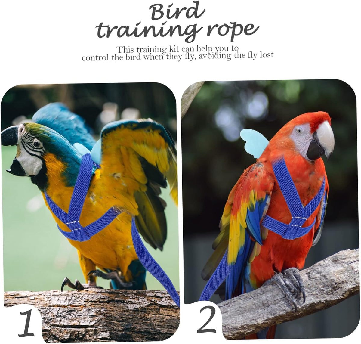 BESPORTBLE 4pcs Bird Training Rope Parrot Harness Leash for Pet Supply Training Harness Set for Small Birds