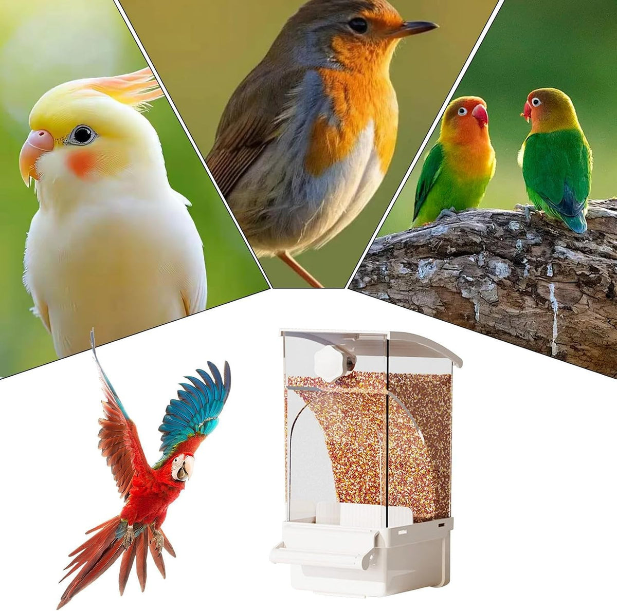 Automatic Bird Feeder for Cage, Pet Supplies for Cockatiels, Parrots, Cockatoos, Canaries, Parakeets, Conures, Parrot(White)