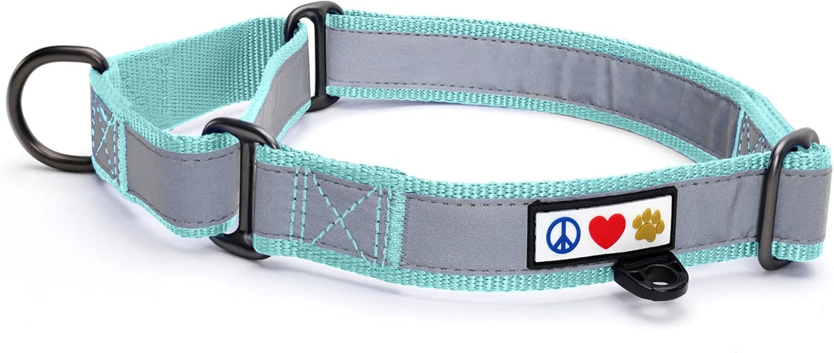 Pawtitas Chain Martingale Dog Collar Puppy Collar Reflective Dog Collar Training Dog Collar Behavioral Dog Chain Collar Collar Large Dog Collar Orange Dog Collar - PuriLite