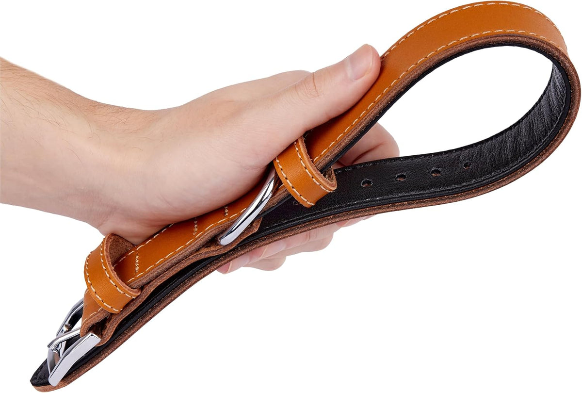 TORRUNA Soft Leather Dog Collar | Dog Collars for Small, Medium and Large Dogs | Durable Heavy Duty Dog Collars - PuriLite
