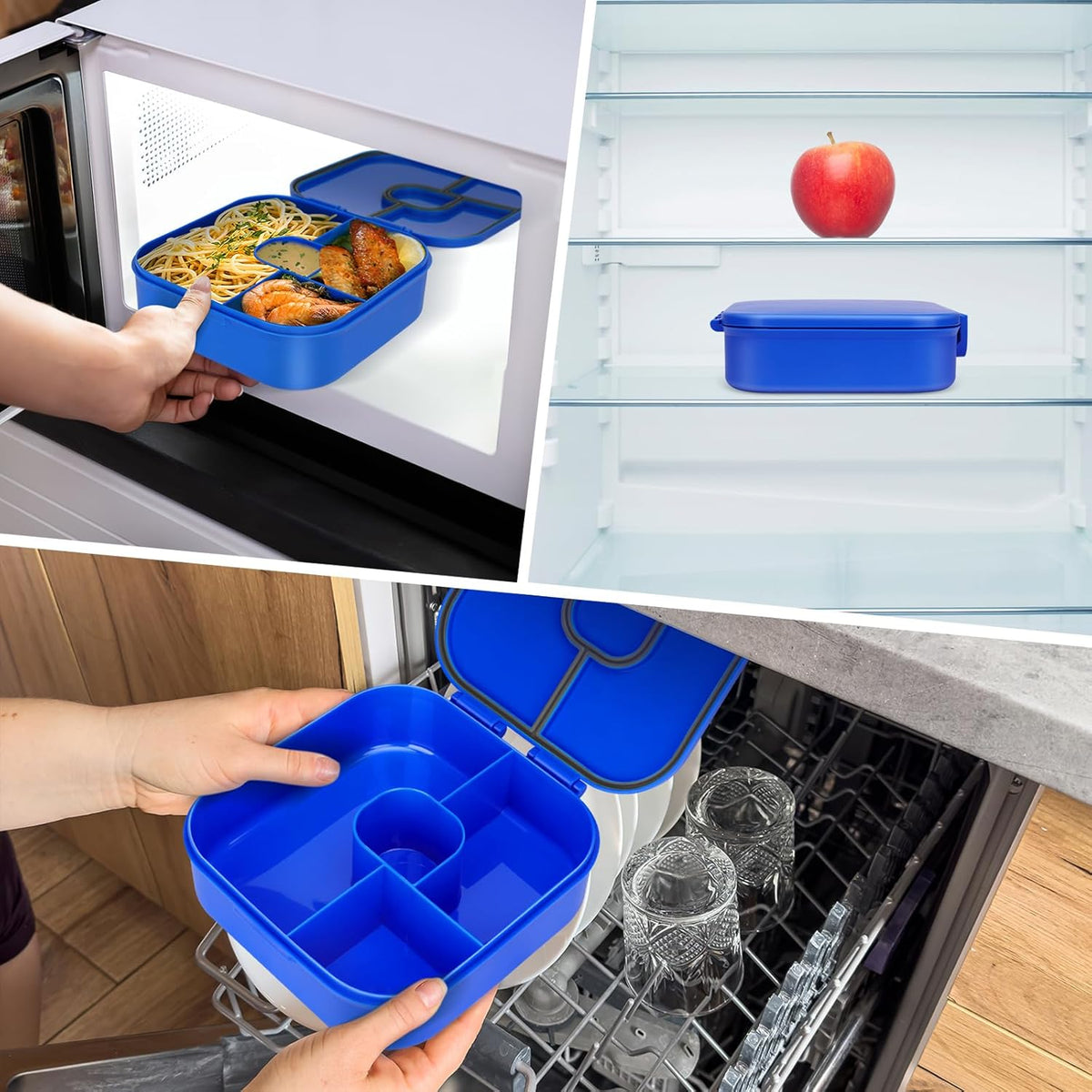 Braoses Bento Box, Lunch Box with 4 Compartments, 800ml Frosted and Leak-Proof Lunch Snack Box for Children Kindergarten(Blue) - PuriLite