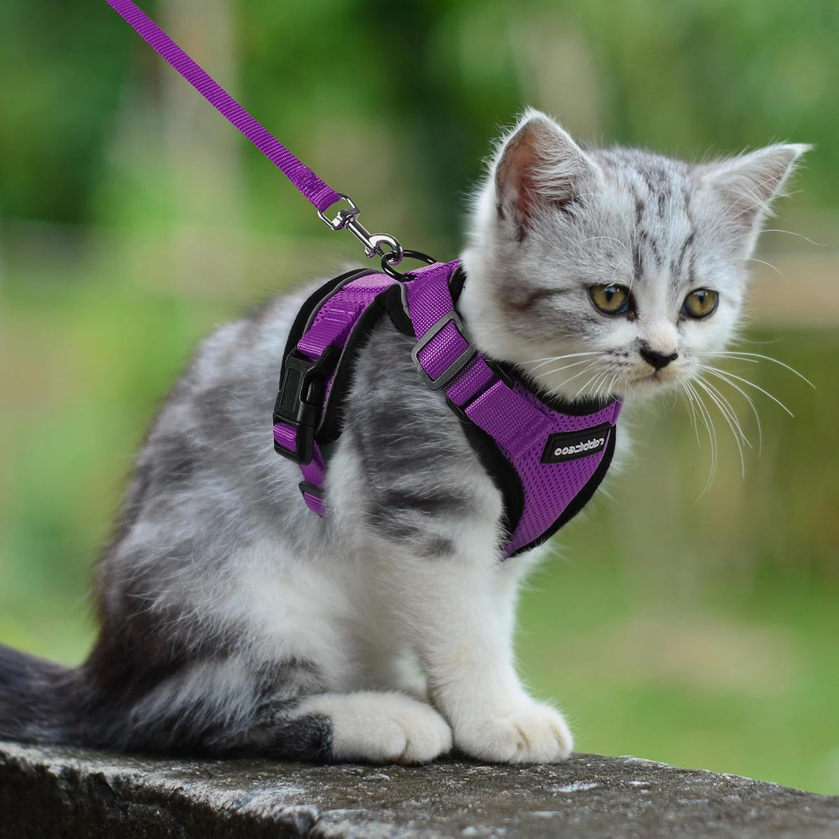 rabbitgoo Cat Harness and Leash for Walking, Escape Proof Soft Adjustable Vest Harnesses for Small Medium Cats, Easy Control Breathable Reflective Strips Jacket, XS, Black - PuriLite
