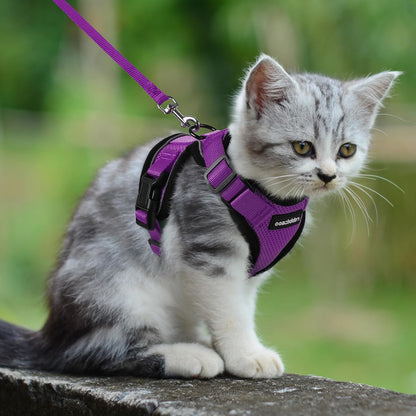 rabbitgoo Cat Harness and Leash for Walking, Escape Proof Soft Adjustable Vest Harnesses for Small Medium Cats, Easy Control Breathable Reflective Strips Jacket, XS, Black - PuriLite