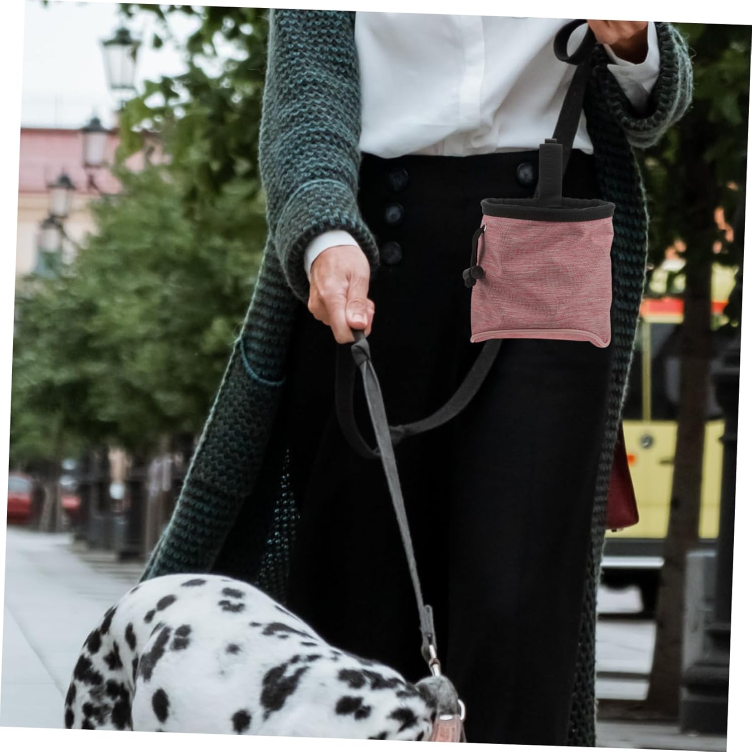 VERDANVERSE Dog Treat Pouch for Outdoor Walks Kibble Pouch Pet Treat Training Snack Bag - PuriLite