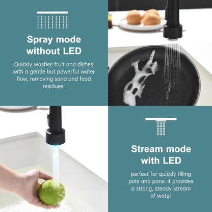 GIMILI Matte Black Kitchen Faucet with LED Light,Single Hole Spring Kitchen Sink Faucet with Pull Down Sprayer - PuriLite