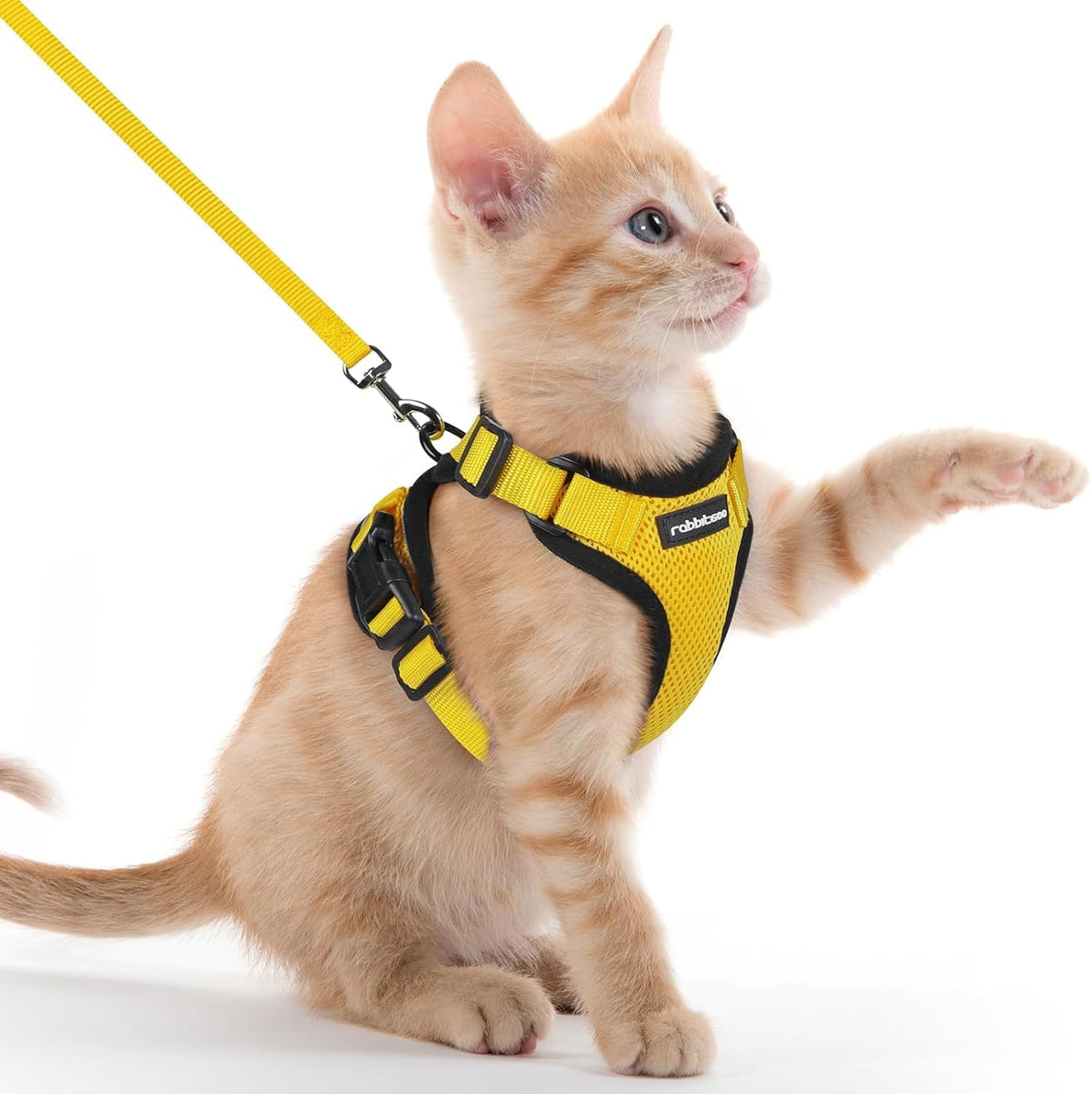 rabbitgoo Cat Harness and Leash for Walking, Escape Proof Soft Adjustable Vest Harnesses for Small Medium Cats, Easy Control Breathable Reflective Strips Jacket, XS, Black - PuriLite