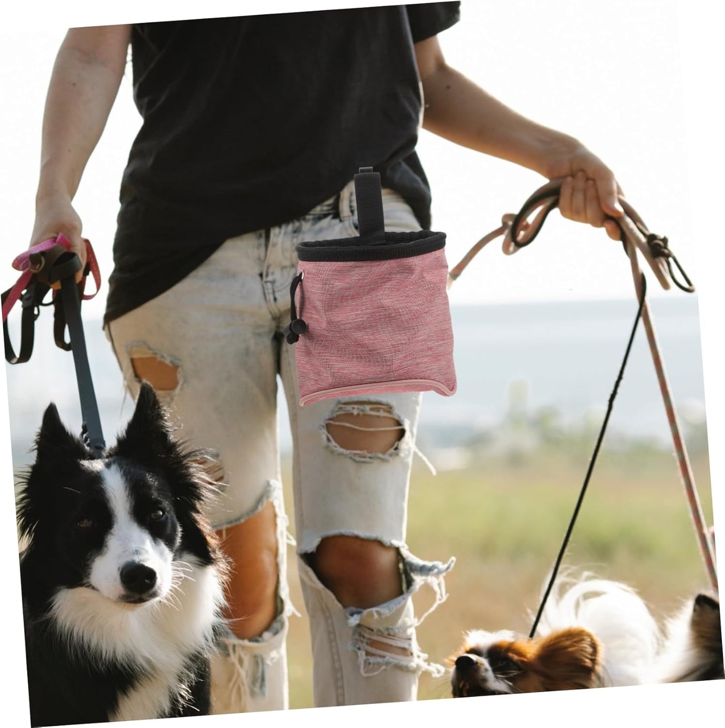 VERDANVERSE Dog Treat Pouch for Outdoor Walks Kibble Pouch Pet Treat Training Snack Bag - PuriLite
