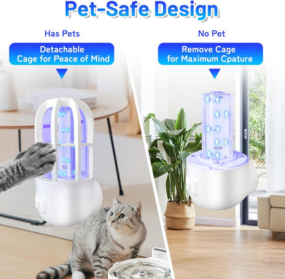 Fruit Fly Trap Indoor, 360 Degree Attracting Fly Trap with Improved LED Light, Sticky Straps Captures Flying Insect, Fruit Flies, Gnats, Mosquitoes, Moth and Houseflies, Refills Included - PuriLite