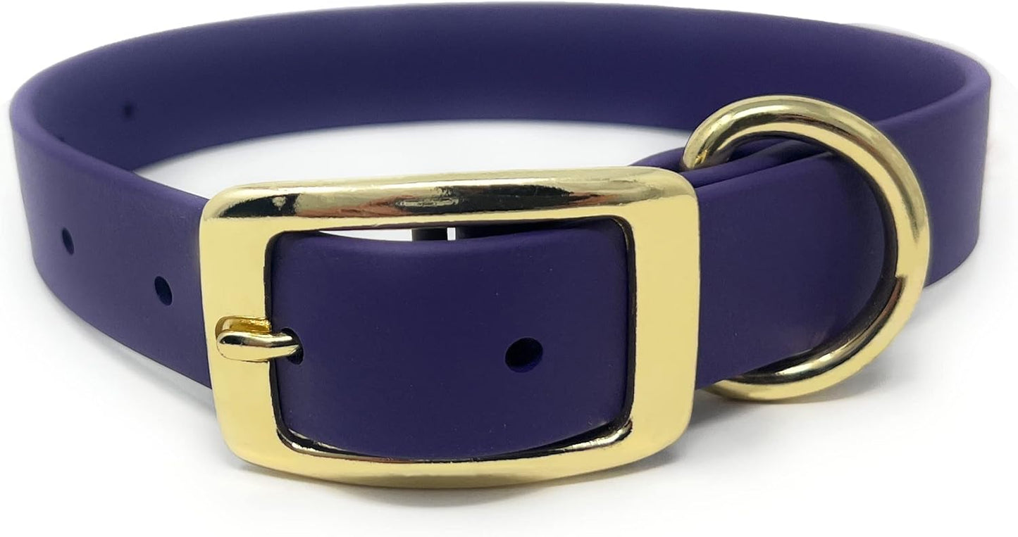 Regal Dog Products Medium Black Waterproof Dog Collar with Gold Buckle, Resilient and Durable Materials, Comfortable Design - for Small, Medium, and Large Breed Dogs - PuriLite