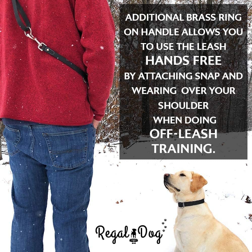 Regal Dog Products Medium Orange Dog Collar with Heavy Duty Double Buckle & D Ring | Vinyl Coated, Custom Fit, Adjustable Biothane Dog Collar Chew Resistant Waterproof Center-Ring Collar for Dogs - PuriLite