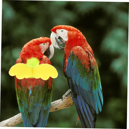 BESPORTBLE 4pcs Bird Training Rope Parrot Harness Leash Pet Bird Fly Train Supply for Small Conure