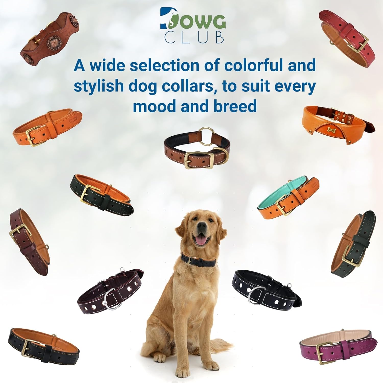 DowgClub | Genuine Leather Dog Collar | Full Grain, Heavy Duty | Comfortable, Strong | Best for Pups, Small, Medium & Large Breeds | Pink, Brown, Black, Tan - PuriLite
