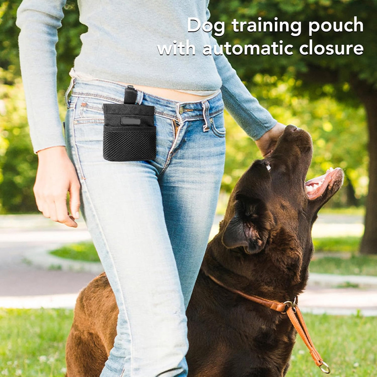 Dog Treat Waist Pouch, Dog Treat Bag Multiple Pockets Dog Treat Carrier Holder with Belt Clip for Puppy Dog Outdoor Walking Training Behavior Aids (Black) - PuriLite