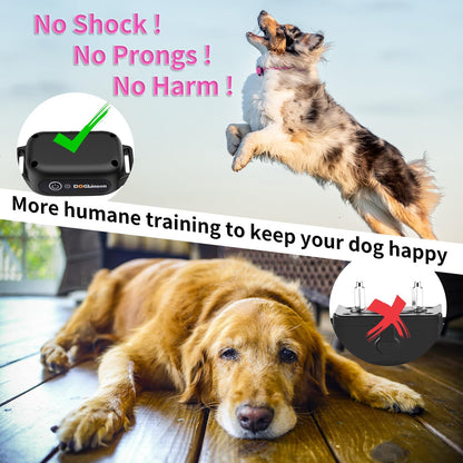 DOGLinsen No Shock Dog Training Collar with Remote 3300ft Range, Vibrating Dog Collar, Vibration Collar for Small Medium Large Dogs, 9 Style Tones and Vibration Collar - PuriLite