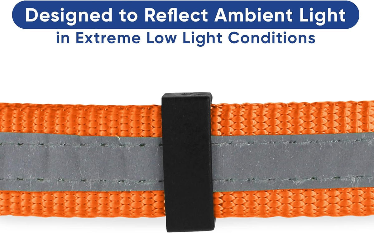 Pawtitas Chain Martingale Dog Collar Puppy Collar Reflective Dog Collar Training Dog Collar Behavioral Dog Chain Collar Collar Large Dog Collar Orange Dog Collar - PuriLite