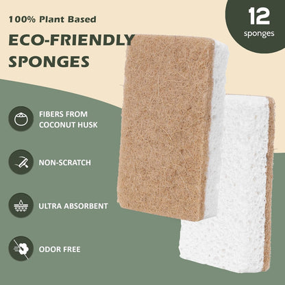 Isshah Plant-Based Kitchen Sponges - FSC Certified and PETA Approved, Natural, Eco-Friendly, Biodegradable Sisal Hemp Sponges for Dishes, Cleaning Sponge for Kitchen, Bathroom, Household - 12 Count - PuriLite