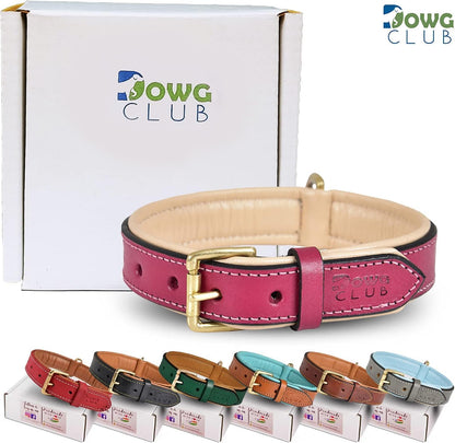 DowgClub | Genuine Leather Dog Collar | Full Grain, Heavy Duty | Comfortable, Strong | Best for Pups, Small, Medium & Large Breeds | Pink, Brown, Black, Tan - PuriLite