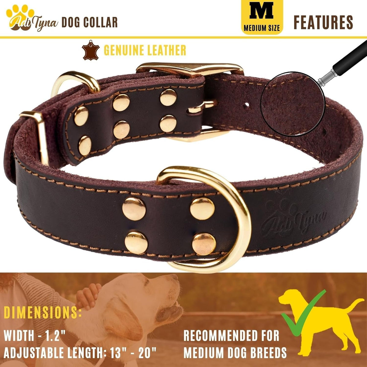 ADITYNA Heavy-Duty Leather Dog Collar for Medium Dogs - Soft and Strong, 100% Genuine Leather - Collier Pour Chien (Medium: Fit 13" - 20" Neck, Brown) - PuriLite