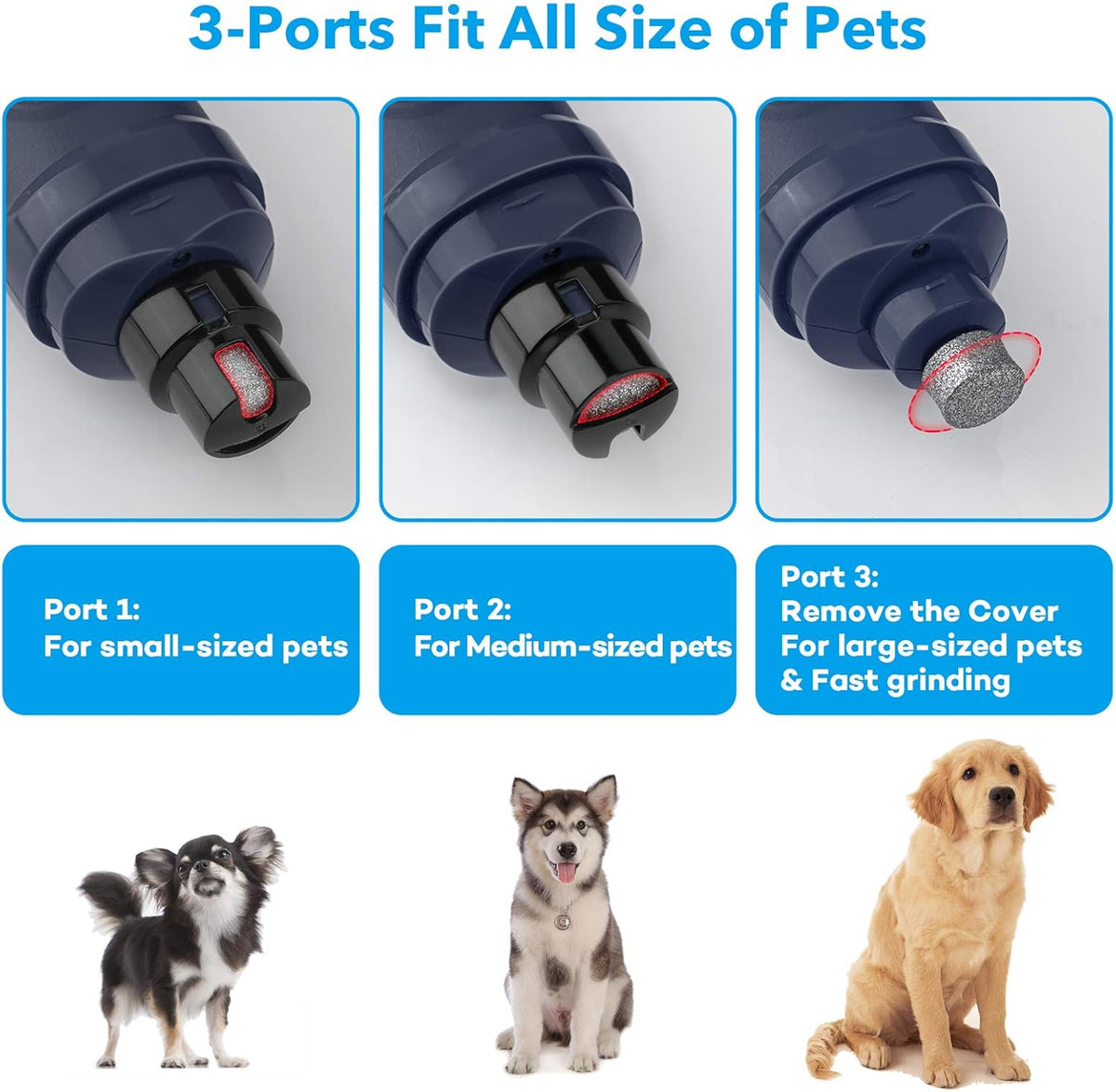 Casfuy Dog Nail Grinder with 2 LED Light - New Version 2-Speed Powerful Electric Pet Nail Trimmer Professional Quiet Painless Paws Grooming & Smoothing for Small Medium Large Dogs and Cats (Blue) - PuriLite