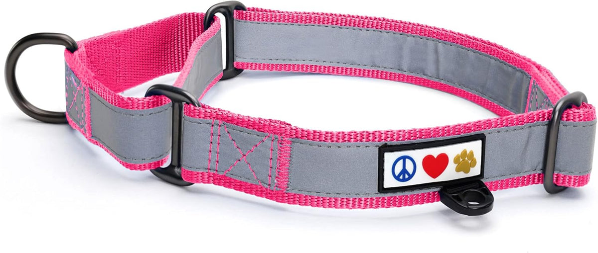 Pawtitas Chain Martingale Dog Collar Puppy Collar Reflective Dog Collar Training Dog Collar Behavioral Dog Chain Collar Collar Large Dog Collar Orange Dog Collar - PuriLite