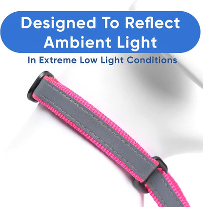 Pawtitas Chain Martingale Dog Collar Puppy Collar Reflective Dog Collar Training Dog Collar Behavioral Dog Chain Collar Collar Large Dog Collar Orange Dog Collar - PuriLite