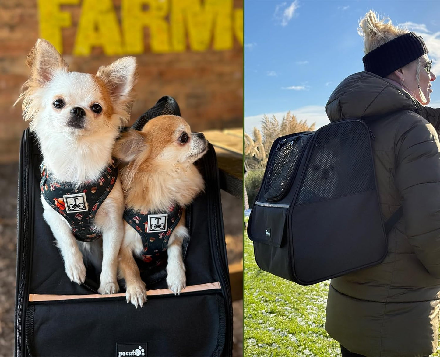 Pecute Expandable Cat Backpack Carrier, Small Dog Backpack Carrier, Pet Backpack Carriers for Cats Dogs Puppy Kitten, Cat Carriers Bag Carrying for Travel Hiking Bike Riding Walking Outdoor,Grey - PuriLite