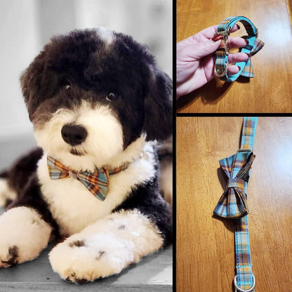 Custom Dog Collar with Metal Buckle - Pet Collars Personalized with Name and Phone Number (Plaid) - PuriLite