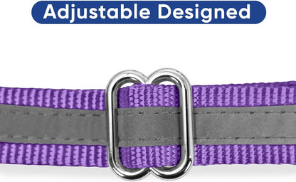 Pawtitas Chain Martingale Dog Collar Puppy Collar Reflective Dog Collar Training Dog Collar Behavioral Dog Chain Collar Collar Large Dog Collar Orange Dog Collar - PuriLite