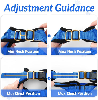 rabbitgoo Cat Harness and Leash for Walking, Escape Proof Soft Adjustable Vest Harnesses for Small Medium Cats, Easy Control Breathable Reflective Strips Jacket, XS, Black - PuriLite