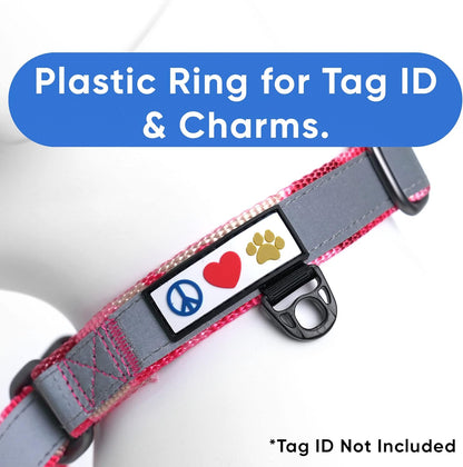 Pawtitas Chain Martingale Dog Collar Puppy Collar Reflective Dog Collar Training Dog Collar Behavioral Dog Chain Collar Collar Large Dog Collar Orange Dog Collar - PuriLite