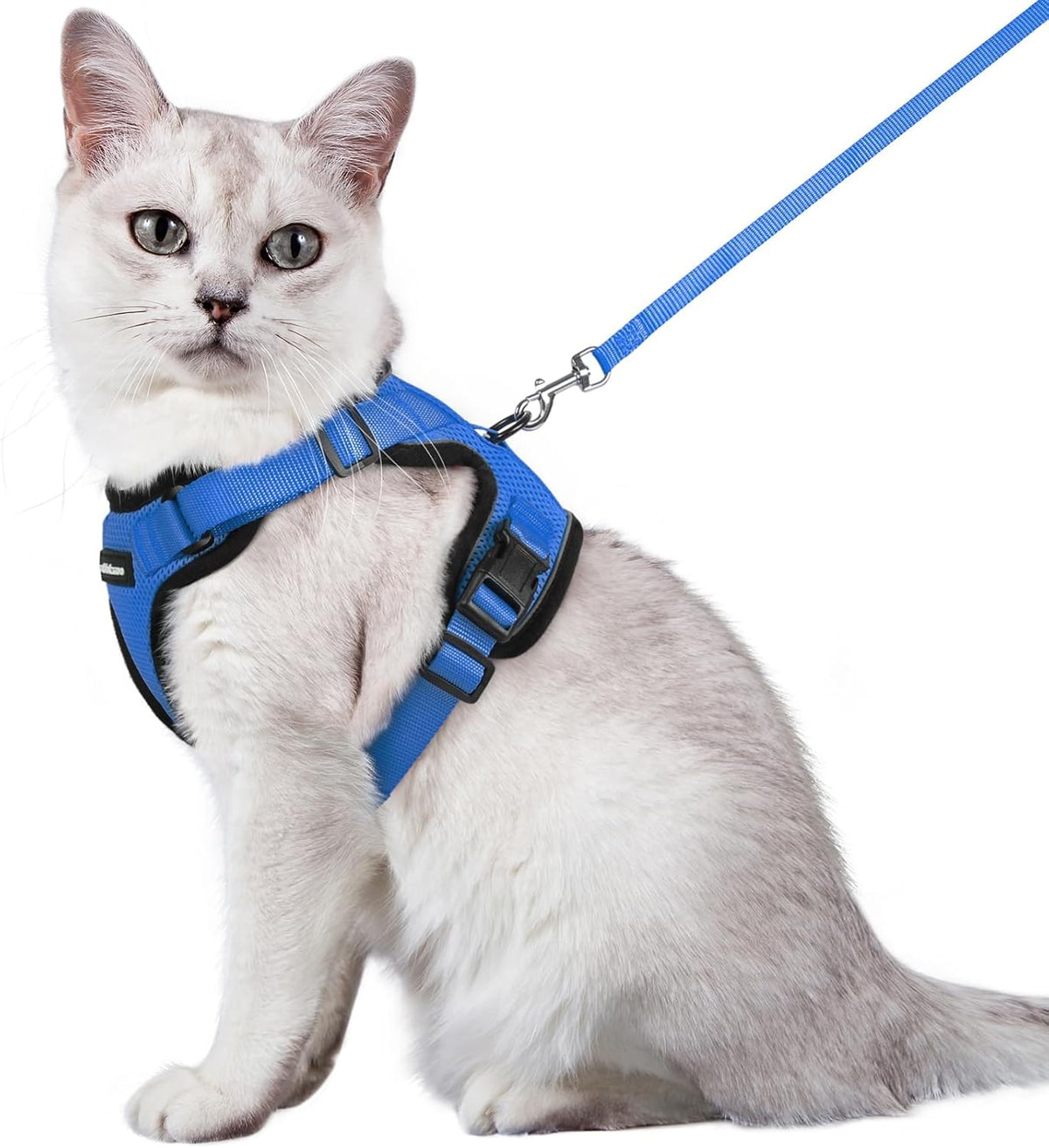 rabbitgoo Cat Harness and Leash for Walking, Escape Proof Soft Adjustable Vest Harnesses for Small Medium Cats, Easy Control Breathable Reflective Strips Jacket, XS, Black - PuriLite
