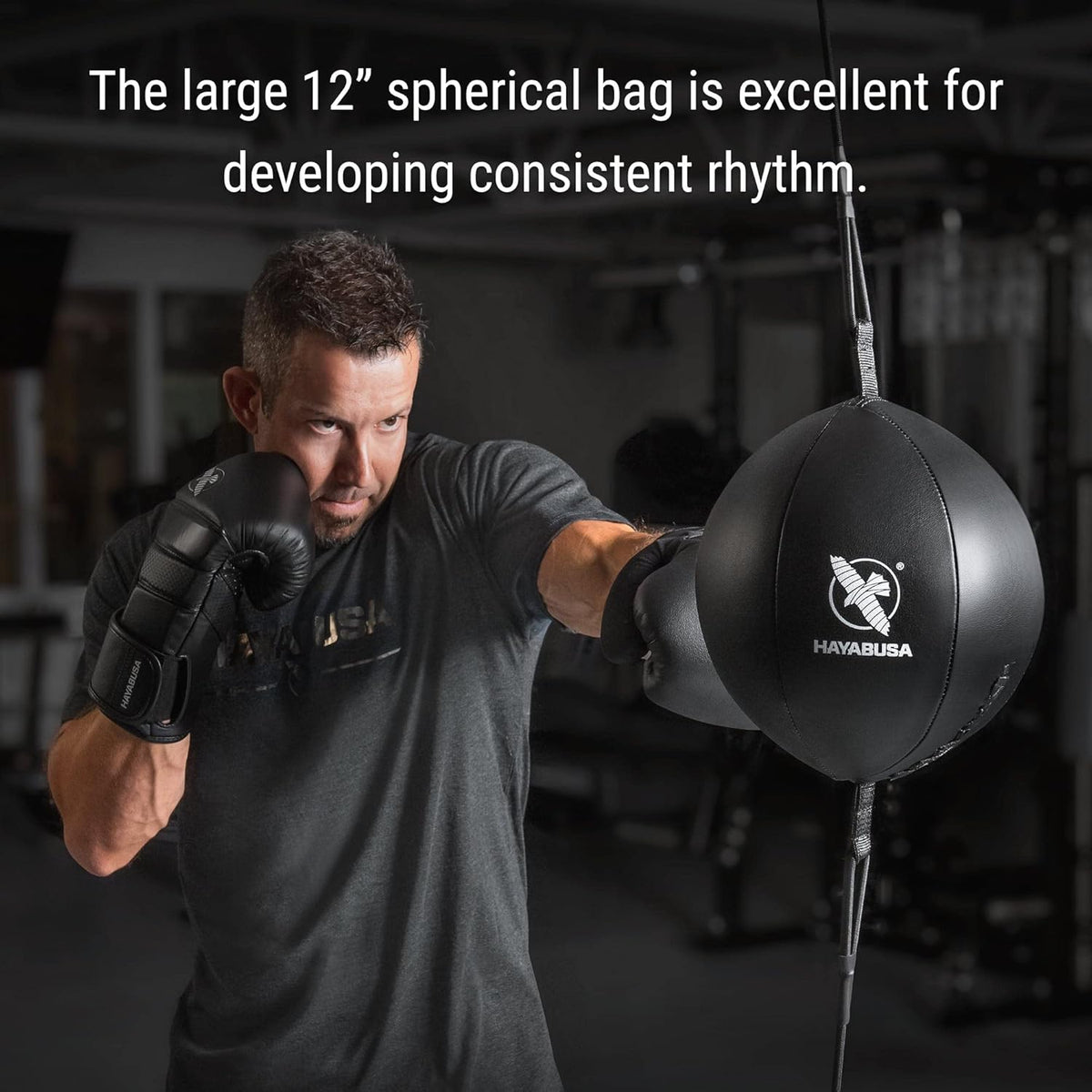 Hayabusa Classic Sphere Double Ended Bag - Black, 12 Inches - PuriLite