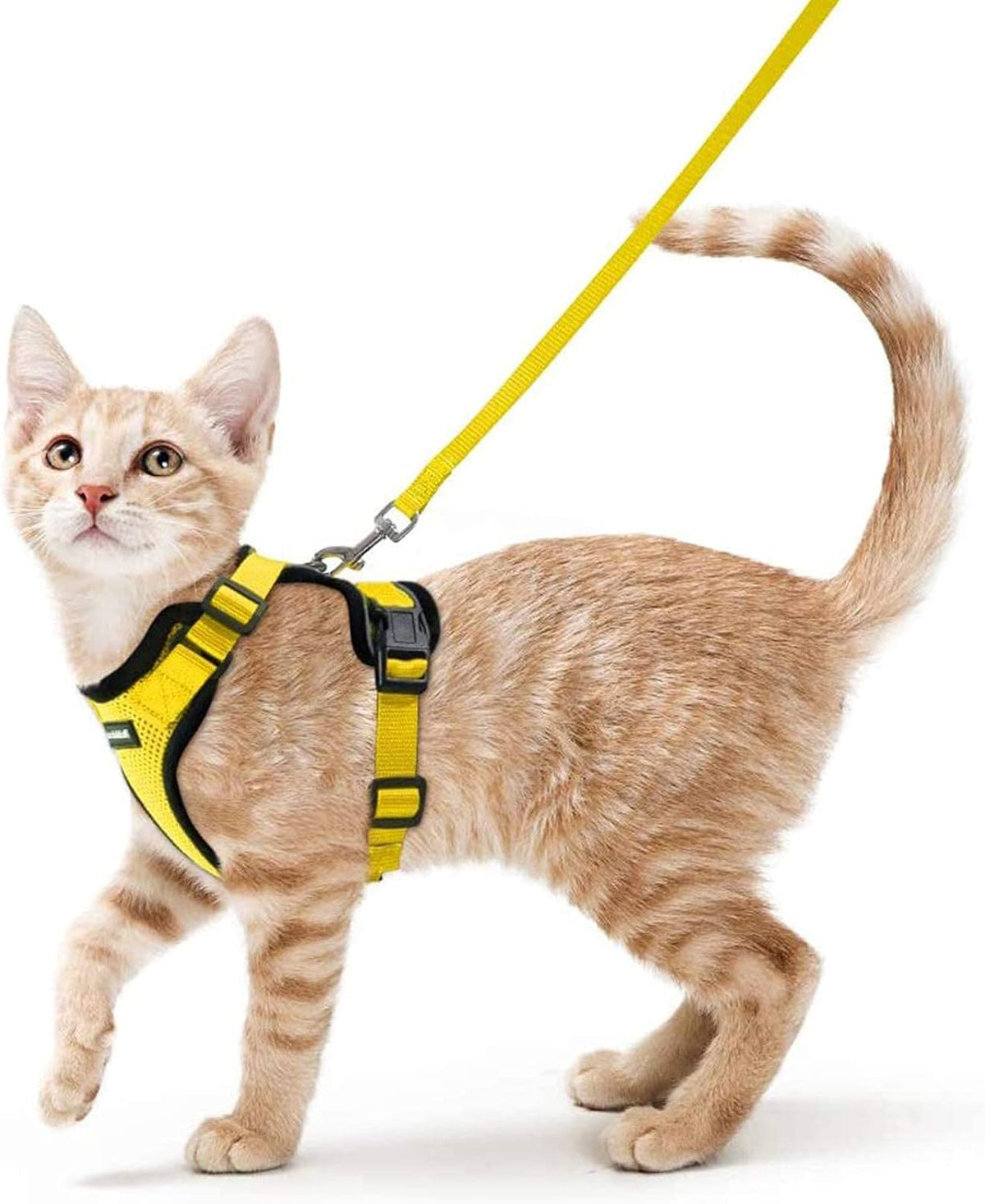 rabbitgoo Cat Harness and Leash for Walking, Escape Proof Soft Adjustable Vest Harnesses for Small Medium Cats, Easy Control Breathable Reflective Strips Jacket, XS, Black - PuriLite