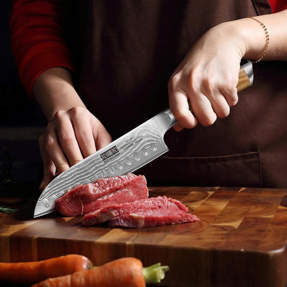 HOSHANHO Damascus Fillet Knife 7 Inch, Professional VG-10 Super Steel Boning Knife, Ultra Sharp Fish Knife with Ergonomic Handle - PuriLite