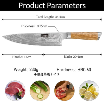 HOSHANHO Damascus Fillet Knife 7 Inch, Professional VG-10 Super Steel Boning Knife, Ultra Sharp Fish Knife with Ergonomic Handle - PuriLite