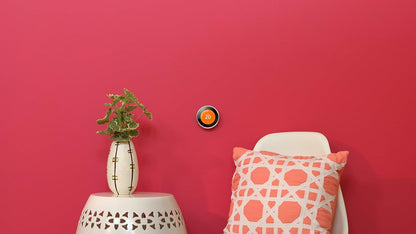 nest Learning Thermostat, 3rd Generation (Works with Amazon Alexa), Stainless Steel - PuriLite
