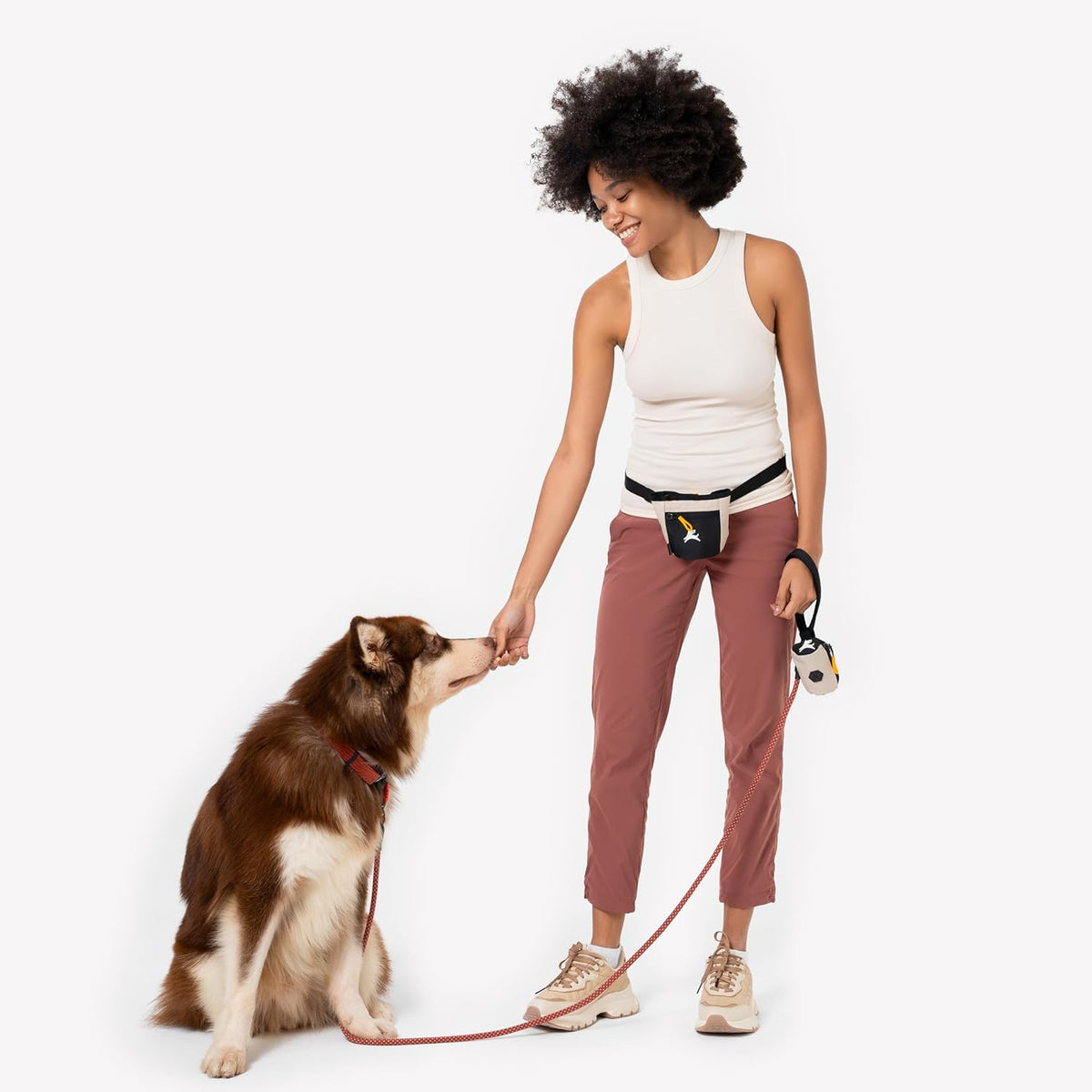 OllyDog Goodie Treat Bag, Dog Treat Pouch, Waist Belt Clip for Hands-Free Training, Magnetic Closure, Dog Training and Behavior Aids, Three Ways to Wear (Wet Weather) - PuriLite