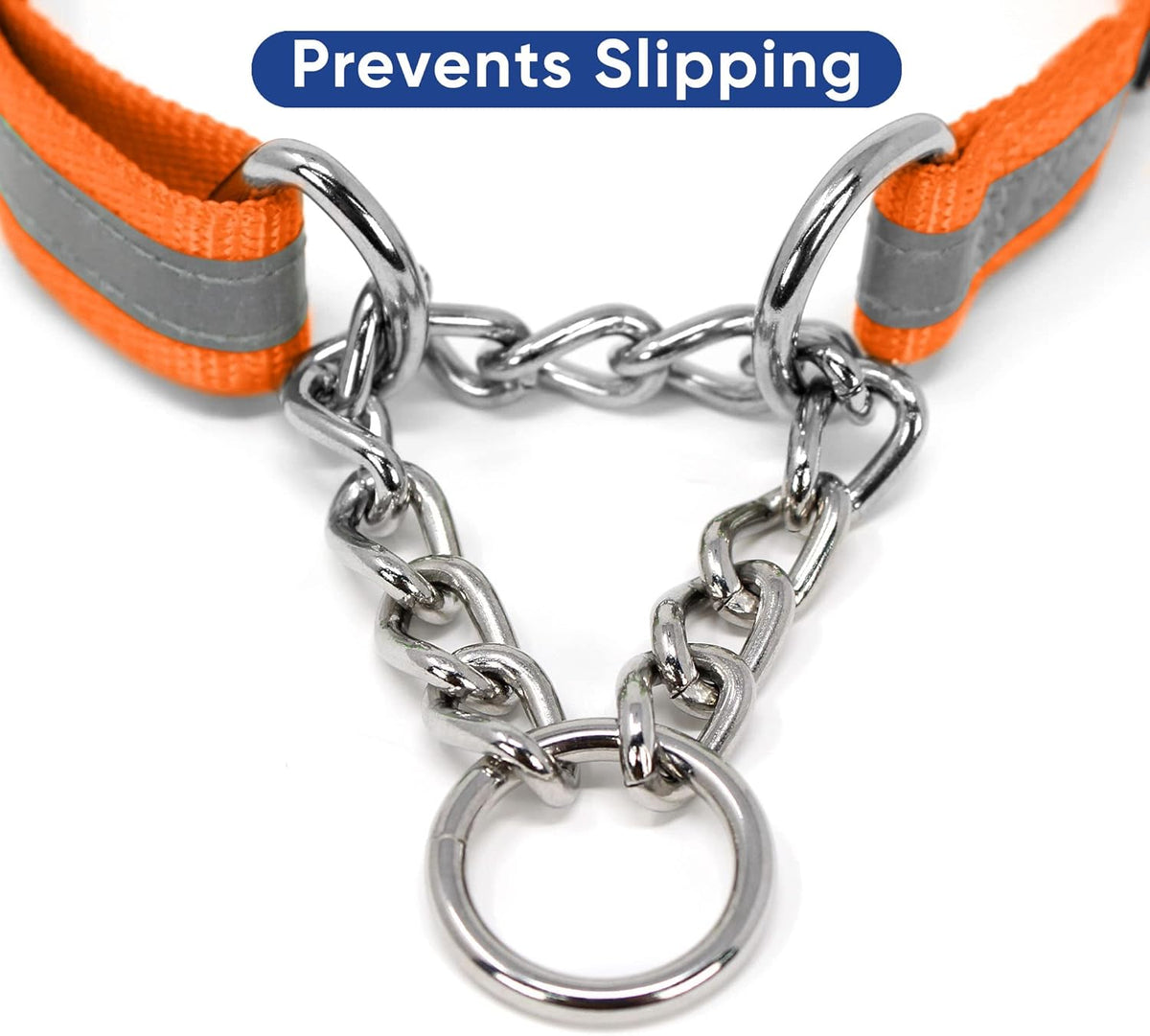 Pawtitas Chain Martingale Dog Collar Puppy Collar Reflective Dog Collar Training Dog Collar Behavioral Dog Chain Collar Collar Large Dog Collar Orange Dog Collar - PuriLite