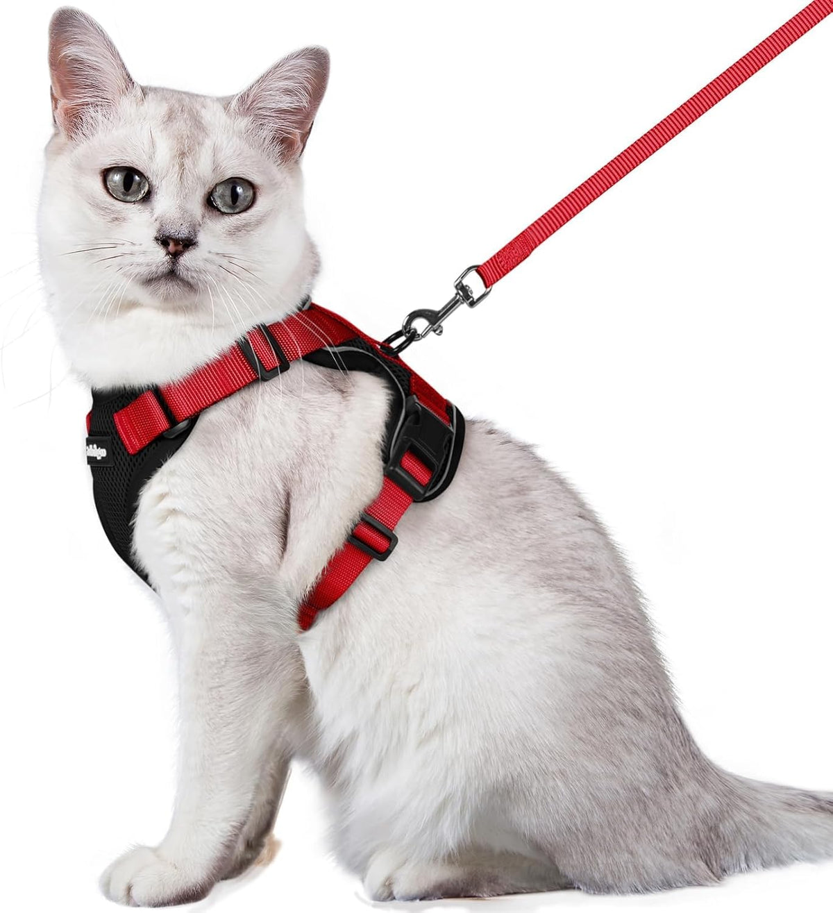 rabbitgoo Cat Harness and Leash for Walking, Escape Proof Soft Adjustable Vest Harnesses for Small Medium Cats, Easy Control Breathable Reflective Strips Jacket, XS, Black - PuriLite
