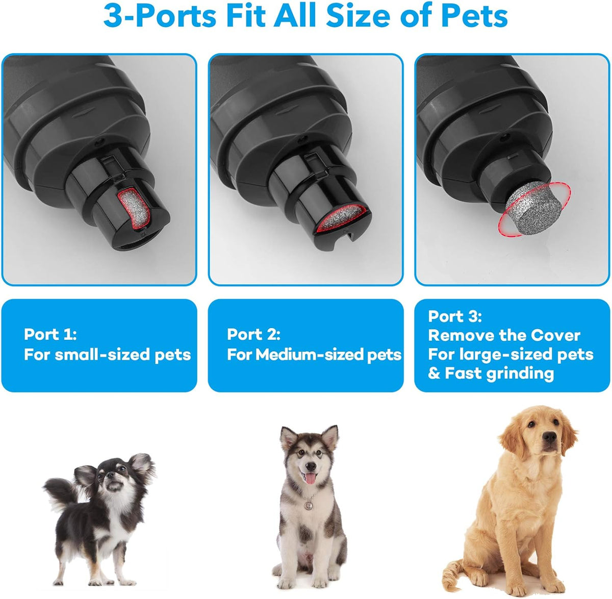 Casfuy Dog Nail Grinder with 2 LED Light - New Version 2-Speed Powerful Electric Pet Nail Trimmer Professional Quiet Painless Paws Grooming & Smoothing for Small Medium Large Dogs and Cats (Blue) - PuriLite